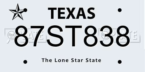 87ST838 Texas License Plate