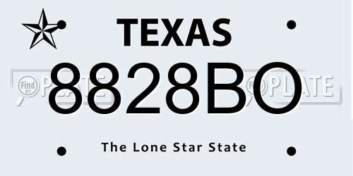 8828BO Texas License Plate