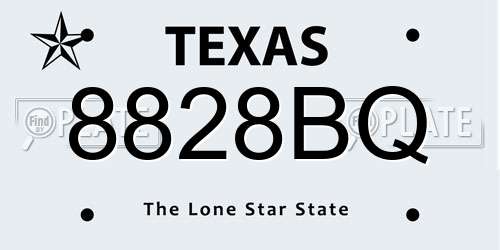 8828BQ Texas License Plate