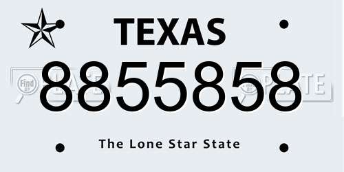 8855858 Texas License Plate