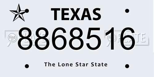 8868516 Texas License Plate