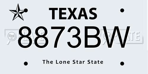 8873BW Texas License Plate