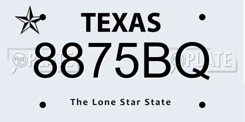 8875BQ Texas License Plate