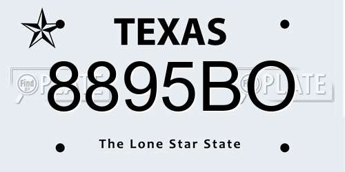 8895BO Texas License Plate