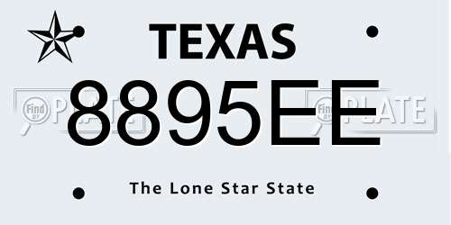 8895EE Texas License Plate