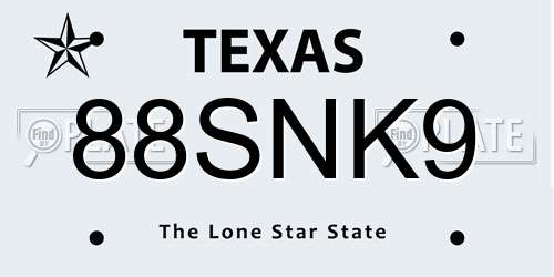 88SNK9 Texas License Plate