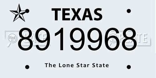 8919968 Texas License Plate
