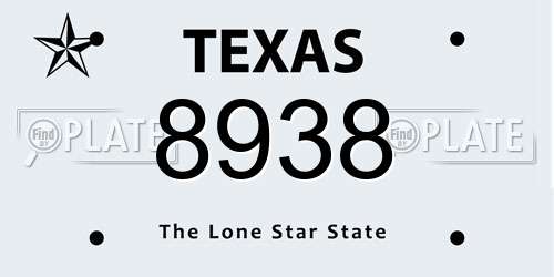 8938 Texas License Plate