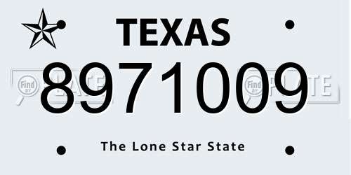 8971009 Texas License Plate