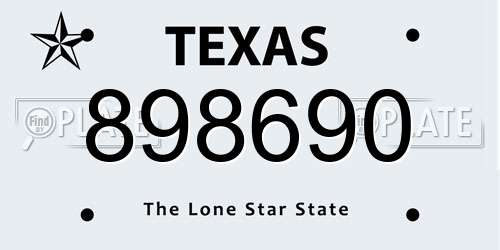 898690 Texas License Plate