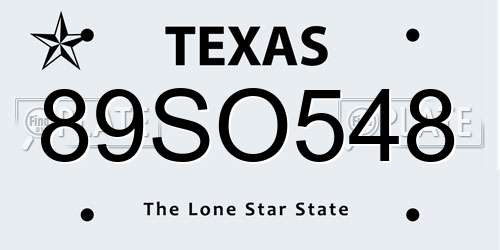 89SO548 Texas License Plate