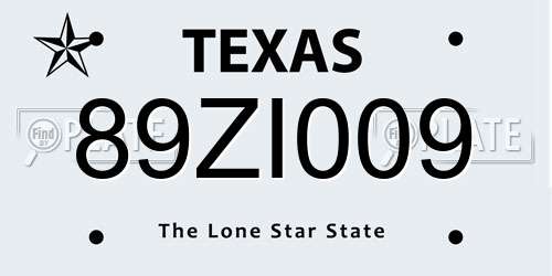 89ZI009 Texas License Plate