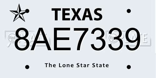 8AE7339 Texas License Plate