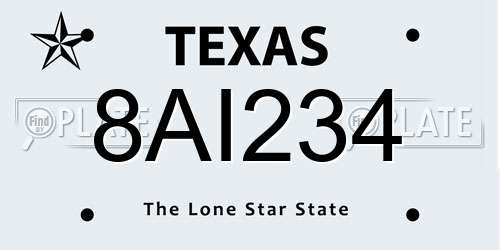 8AI234 Texas License Plate