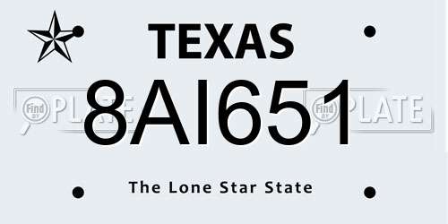 8AI651 Texas License Plate