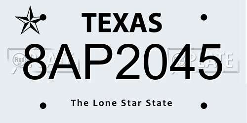 8AP2045 Texas License Plate