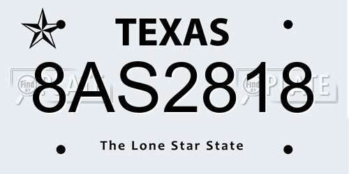 8AS2818 Texas License Plate