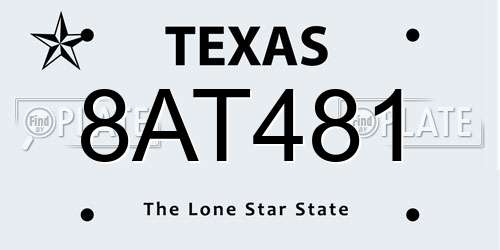 8AT481 Texas License Plate