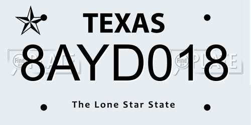 8AYD018 Texas License Plate