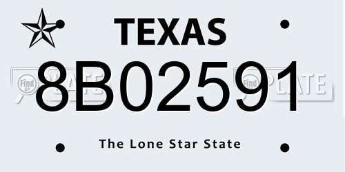 8B02591 Texas License Plate