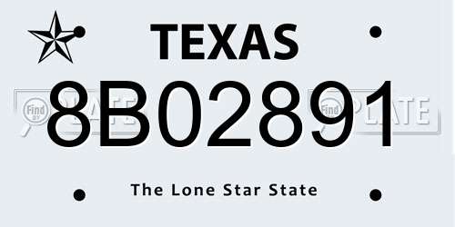 8B02891 Texas License Plate