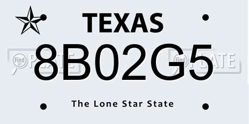 8B02G5 Texas License Plate