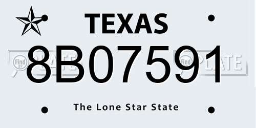 8B07591 Texas License Plate