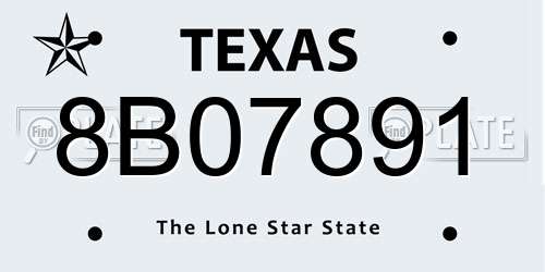 8B07891 Texas License Plate