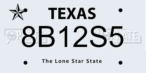 8B12S5 Texas License Plate