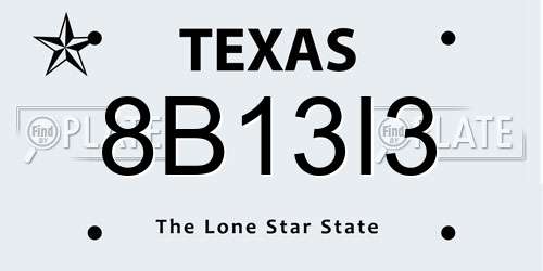 8B13I3 Texas License Plate