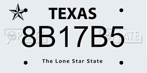 8B17B5 Texas License Plate