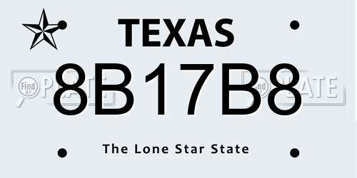 8B17B8 Texas License Plate