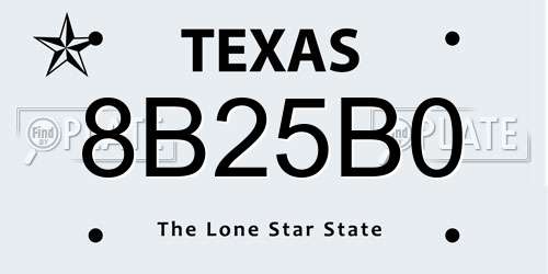 8B25B0 Texas License Plate