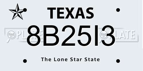 8B25I3 Texas License Plate