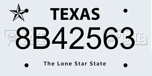 8B42563 Texas License Plate