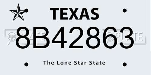 8B42863 Texas License Plate