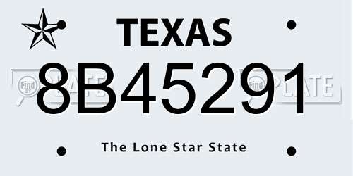 8B45291 Texas License Plate