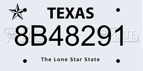 8B48291 Texas License Plate