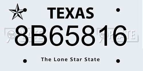 8B65816 Texas License Plate