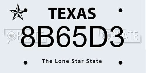 8B65D3 Texas License Plate