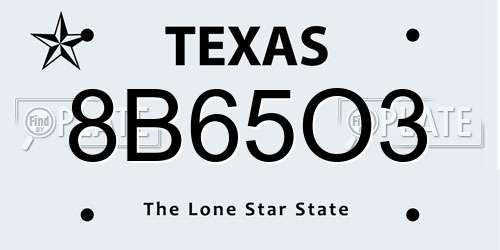 8B65O3 Texas License Plate
