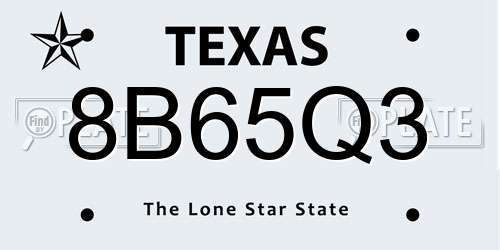 8B65Q3 Texas License Plate