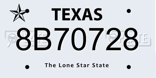 8B70728 Texas License Plate