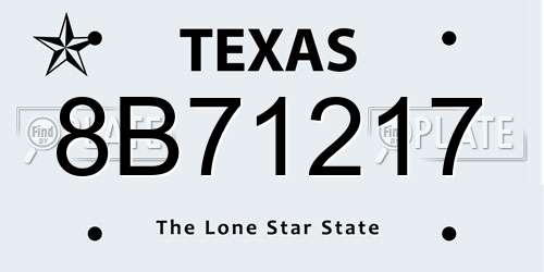8B71217 Texas License Plate
