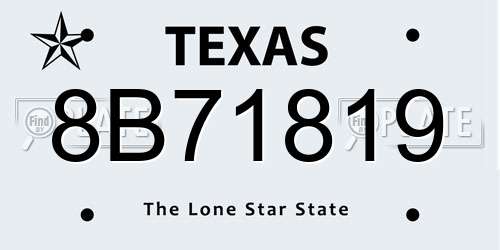 8B71819 Texas License Plate