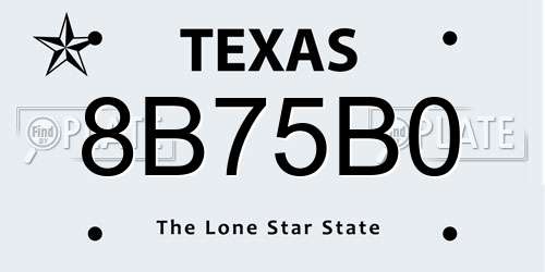 8B75B0 Texas License Plate