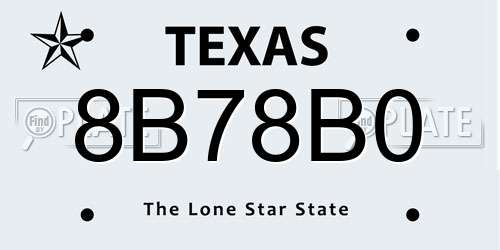 8B78B0 Texas License Plate