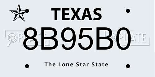 8B95B0 Texas License Plate