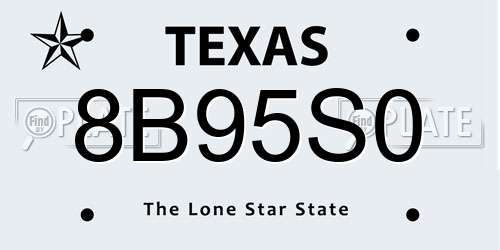 8B95S0 Texas License Plate