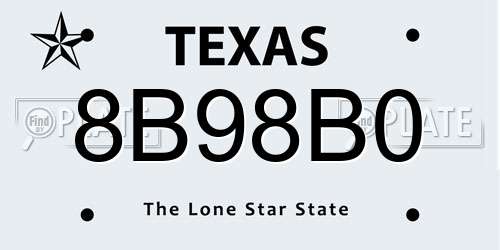 8B98B0 Texas License Plate